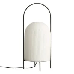 Woud Ghost Lattiavalaisin