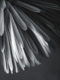 Foscarini Sun - Light Of Love Riippuvalaisin, Valkoinen -Hay || Menu || Louis Poulsen Kauppa 3543 Sun Light of Love bianca 280429