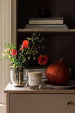 Hetkinen Kasvivahakynttilä, Biofilia -Hay || Menu || Louis Poulsen Kauppa Fds ruoka6 lokakuu21