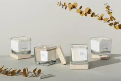 Hetkinen Kasvivahakynttilä Neliö, Biofilia -Hay || Menu || Louis Poulsen Kauppa Hetkinen Mood Veggie candle square horizontal web 1296x