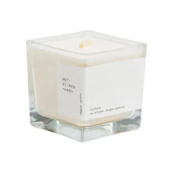 Hetkinen Kasvivahakynttilä Neliö, Biofilia