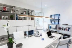 Tunto Swan Riippuvalaisin, 2700K, DALI Himmennettävä, Tammi -Hay || Menu || Louis Poulsen Kauppa TUNTO SWAN TOPIC 003