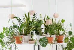 Showroom Finland Valo 003 Riippuvalaisin, Saarni -Hay || Menu || Louis Poulsen Kauppa Valo pendants Credit Timo Junttila