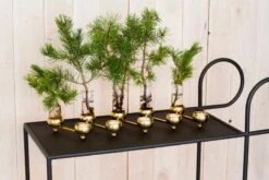 Klong Constella Kynttilänjalka, Messinki -Hay || Menu || Louis Poulsen Kauppa julius constella inspiration noresize